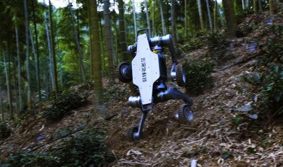 leyu电竞网山猫